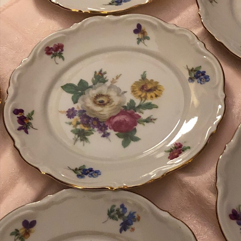 Mitterteich Bavaria Meissen Floral Gold-Trim Porcelain Dessert Plates GORGEOUS!